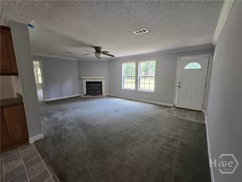 110 Bird Rd, Springfield, GA 31329 photo 6