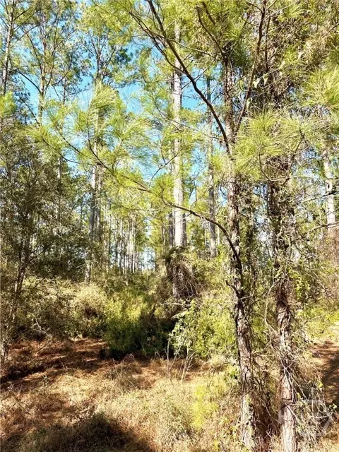 0 Marsh Way, Townsend, GA 31331 photo 1
