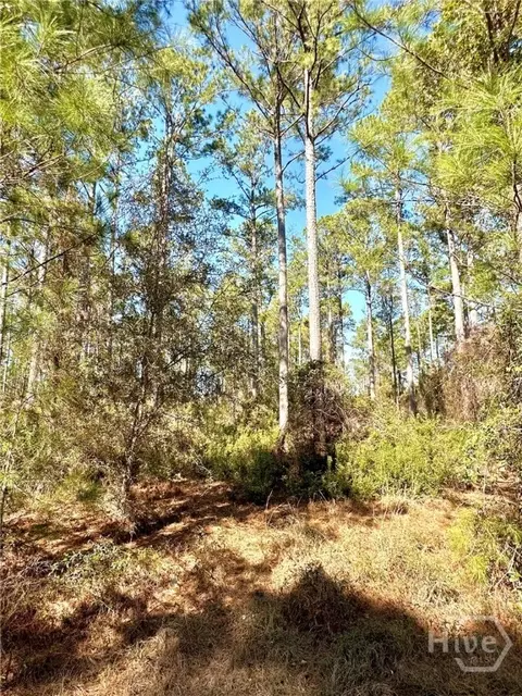 0 Marsh Way, Townsend, GA 31331 photo 2