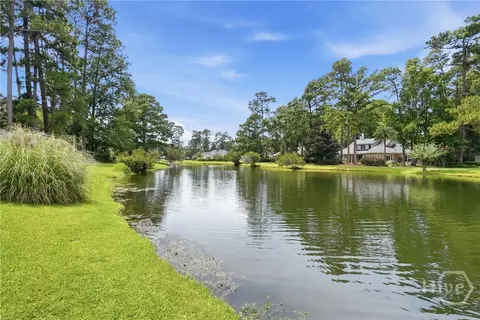 View/Area - 3 Springpine Ln, Savannah, GA 31411 photo 1 of 3