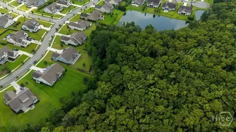 View/Area - 119 Bramswell Rd, Pooler, GA 31322 photo 3 of 8