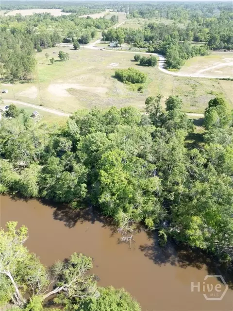lot19 23 The River Landing Rd, Midville, GA 30441