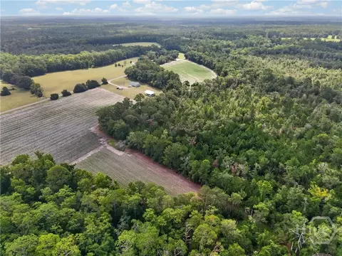 0 Tract C Morgan Rd, Springfield, GA 31329 photo 5