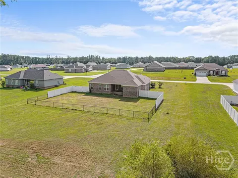 View/Area - 221 Fallen Leaf Dr, Brooklet, GA 30415 photo 2 of 5