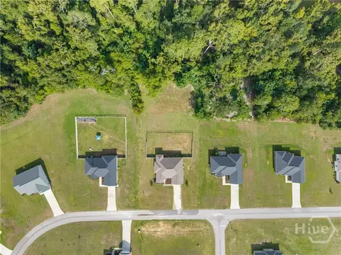 View/Area - 221 Fallen Leaf Dr, Brooklet, GA 30415 photo 1 of 5