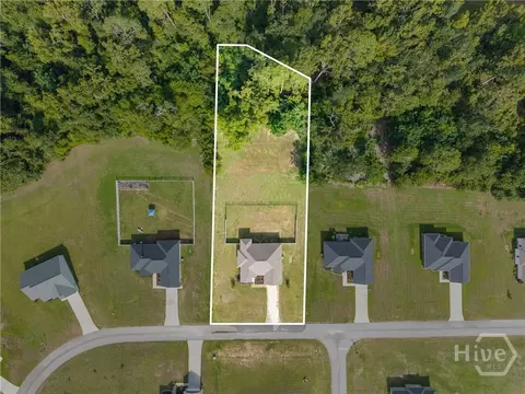 View/Area - 221 Fallen Leaf Dr, Brooklet, GA 30415 photo 4 of 5