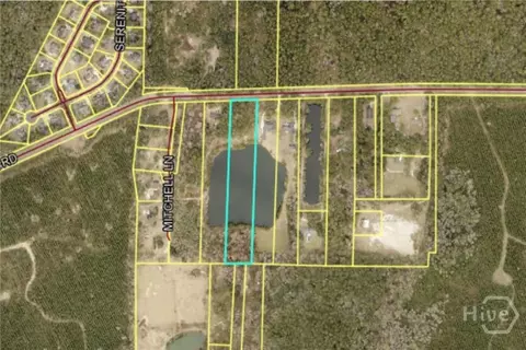 1954 Oak Level Rd, Richmond Hill, GA 31324