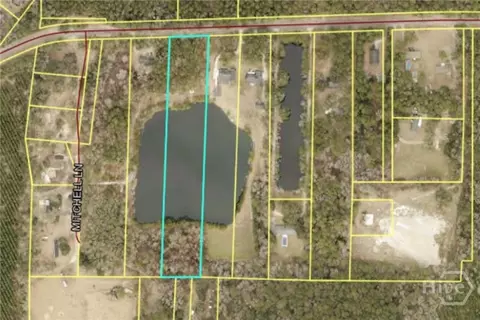 1954 Oak Level Rd, Richmond Hill, GA 31324