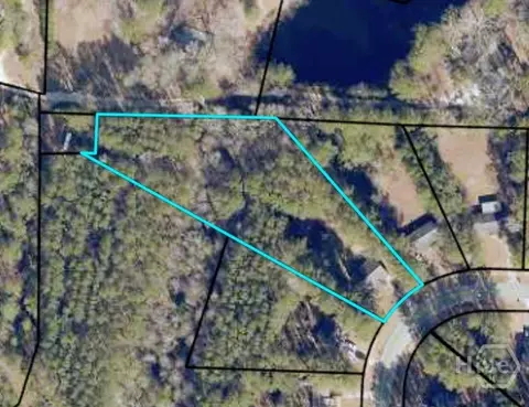 View/Area - 405 Shadowbrook Cir, Springfield, GA 31329 photo 1 of 1