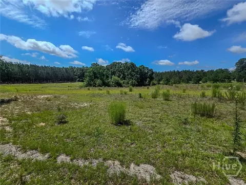 0 Village Rd, Sylvania, GA 30467