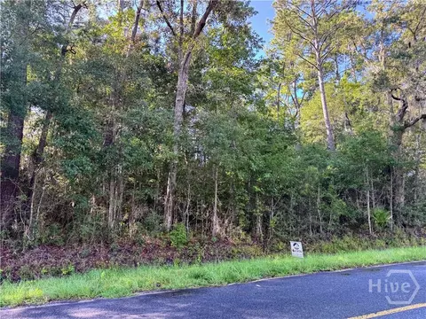 0 Cattle Hammock Rd, Midway, GA 31320 photo 1