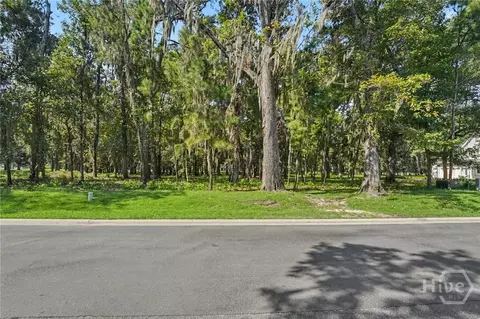 183 Little Lulu Ln, Richmond Hill, GA 31324