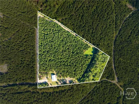 Other - 3875 Poor Robin Rd, Sylvania, GA 30467 photo 1 of 10