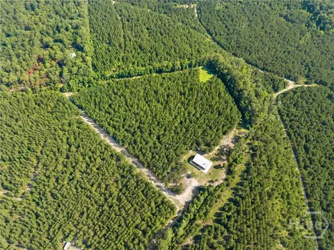 Other - 3875 Poor Robin Rd, Sylvania, GA 30467 photo 8 of 10