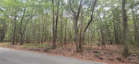 0 Poplar, Guyton, GA 31312 photo 3