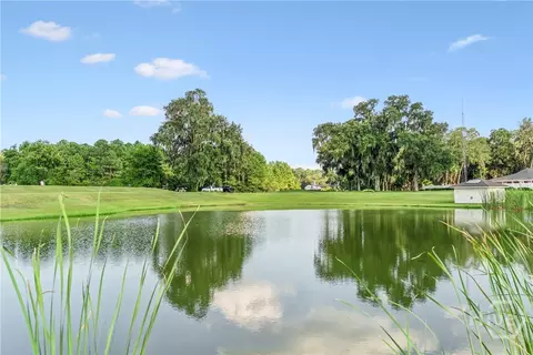 View/Area - 2009 Hidden Lagoon Ln NE, Shellman Bluff, GA 31331 photo 7 of 11