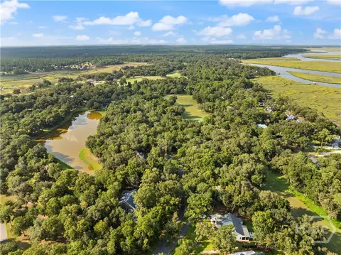 View/Area - 2009 Hidden Lagoon Ln NE, Shellman Bluff, GA 31331 photo 11 of 11