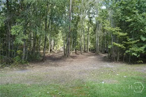 0 Williams Rd, Guyton, GA 31312 photo 3