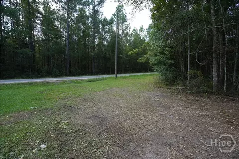 0 Williams Rd, Guyton, GA 31312 photo 4