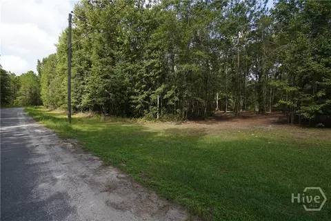 0 Williams Rd, Guyton, GA 31312 photo 2