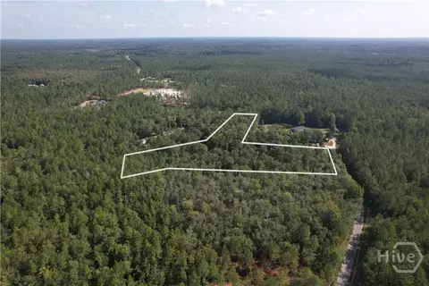 0 Williams Rd, Guyton, GA 31312 photo 6