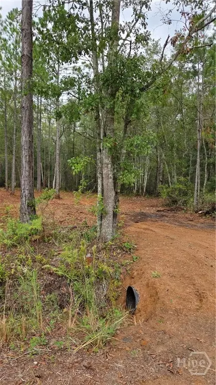 1 Williams Rd, Guyton, GA 31312 photo 11