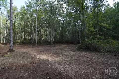 1 Williams Rd, Guyton, GA 31312 photo 3