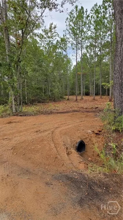 1 Williams Rd, Guyton, GA 31312 photo 9