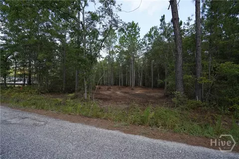 1 Williams Rd, Guyton, GA 31312 photo 2