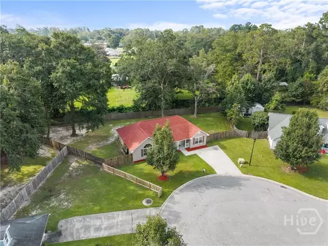 View/Area - 100 Front Run Pl, Pembroke, GA 31321 photo 1 of 7