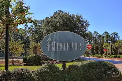 Other - 117 Quiet Pine Cir, Pooler, GA 31322 photo 12 of 12
