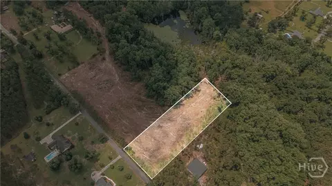 0 Issac Rd, Claxton, GA 30417 photo 5