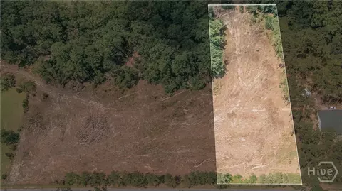 0 Issac Rd, Claxton, GA 30417 photo 2