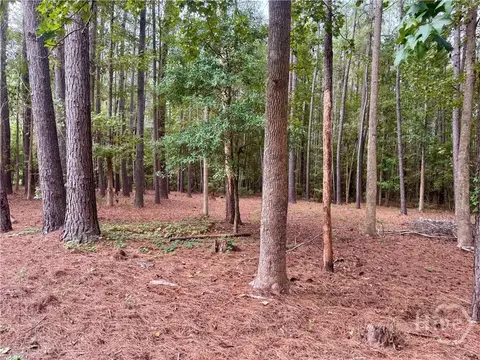 Other - 271 Thomas Cir, Springfield, GA 31329 photo 3 of 3