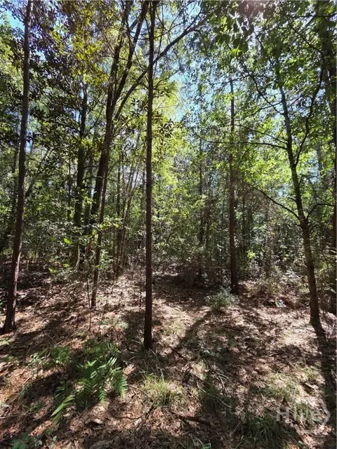 114 Riley Ct, Springfield, GA 31329 photo 19