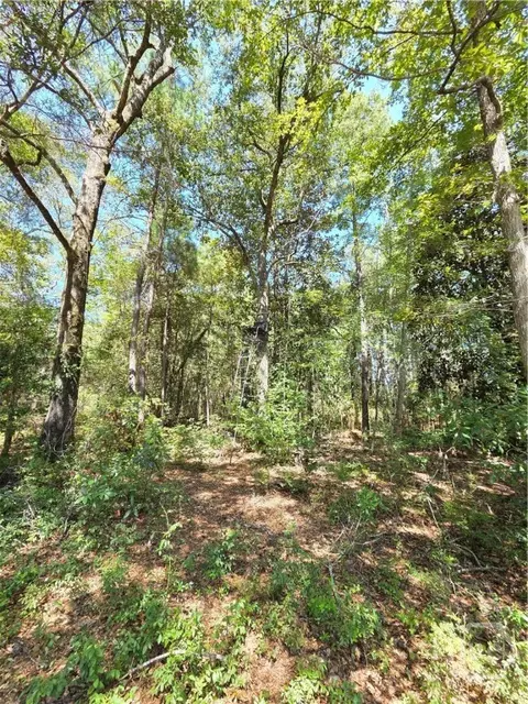 114 Riley Ct, Springfield, GA 31329 photo 20