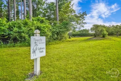 lot Apt 29 Tranquility Pl NE, Townsend, GA 31331 photo 6