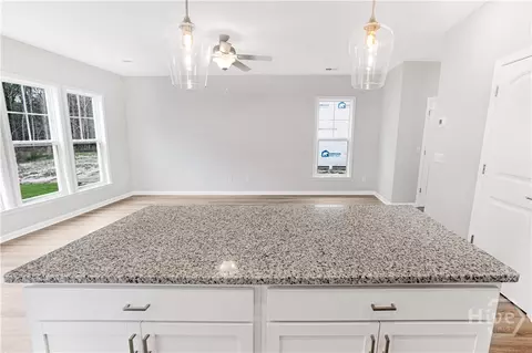Other - 212 Chime, Pooler, GA 31322 photo 5 of 7