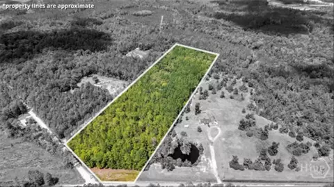 15 5 Ac Elim Church Rd NE, Ludowici, GA 31316
