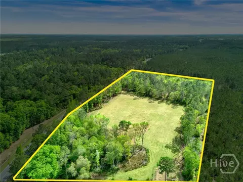 0 Courthouse Rd, Guyton, GA 31312 photo 3