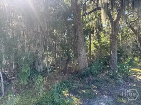 3 Shad Ct, Savannah, GA 31410 photo 4