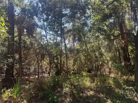 3 Shad Ct, Savannah, GA 31410 photo 5