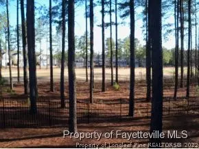 130 Barons Run E, Spring Lake, NC 28390 photo 18