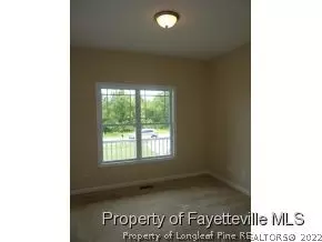 282 Juno Dr, Broadway, NC 27505 photo 10