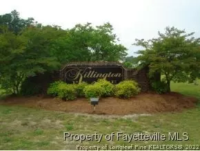 111 Killington Pl, Dunn, NC 28334 photo 10