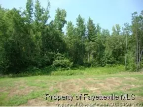 66 Winged Foot Dr, Bunnlevel, NC 28323 photo 19