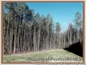 80 Valor Cir, Bunnlevel, NC 28323 photo 23