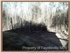 80 Valor Cir, Bunnlevel, NC 28323 photo 19