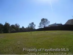 112 Tanner Loop, Raeford, NC 28376 photo 15