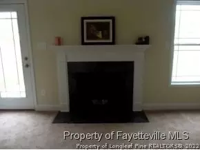 6309 Woolgrass Ct, Stedman, NC 28391 photo 24